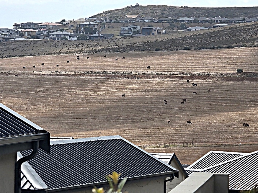 3 Bedroom Property for Sale in Hartland Lifestyle Estate Western Cape